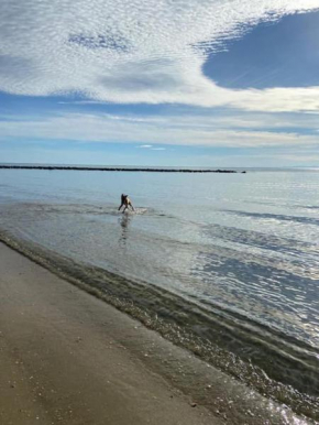hébergement les pieds dans l'eau